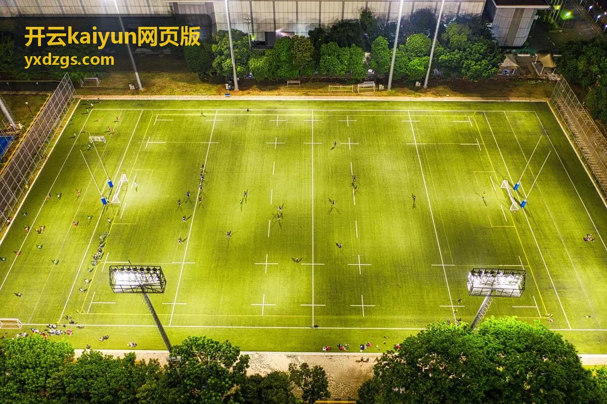 开云kaiyun网页版验证码与安全校验示意