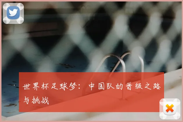 世界杯足球梦:中国队的晋级之路与挑战