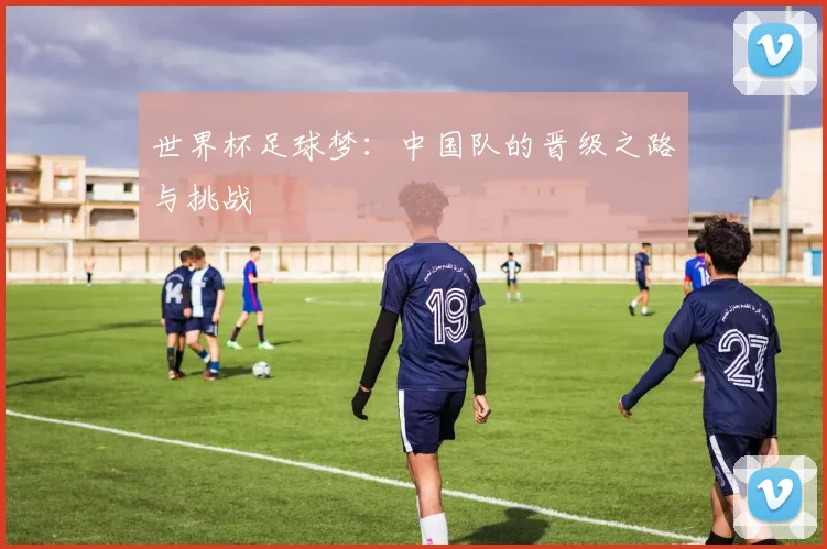 世界杯足球梦:中国队的晋级之路与挑战