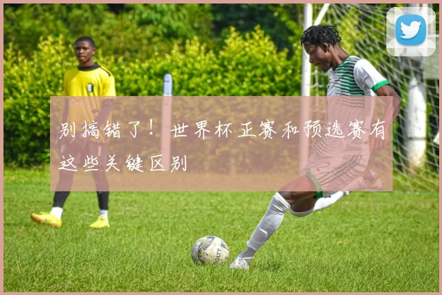 别搞错了！世界杯正赛和预选赛有这些关键区别